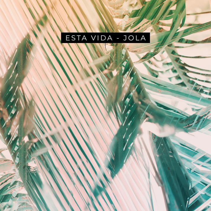 Jola Jola